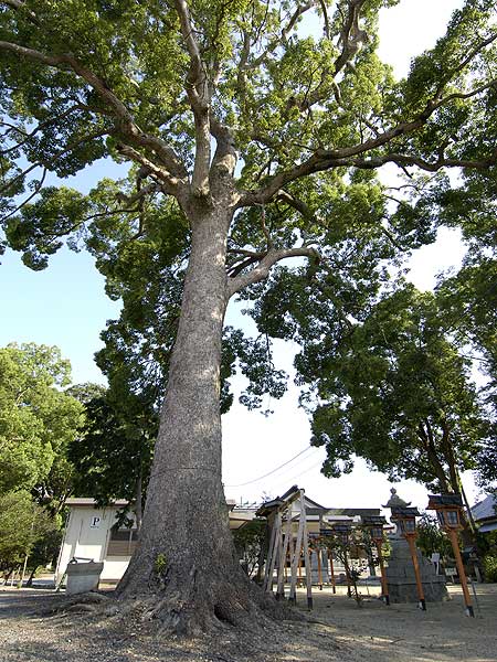 都波岐神社2